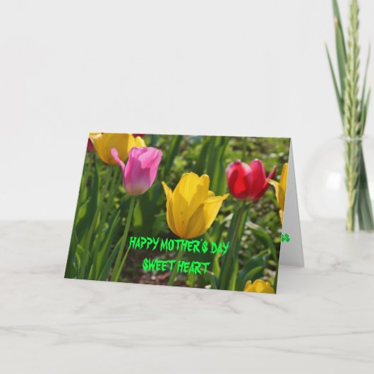 De Tulp van de Tijd van de lente Kaart (Voorkant)