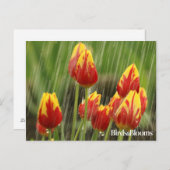 De Tulpen van de lente Briefkaart (Voorkant / Achterkant)