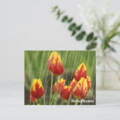 De Tulpen van de lente Briefkaart (Staand voorkant)