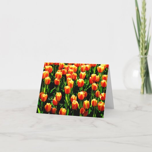 De Tulpen van de zonneschijn Kaart (Voorkant)