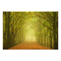De tunnel van licht in de bosfotodruk