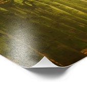 De tunnel van licht in de bosfotodruk foto afdruk (Hoek)