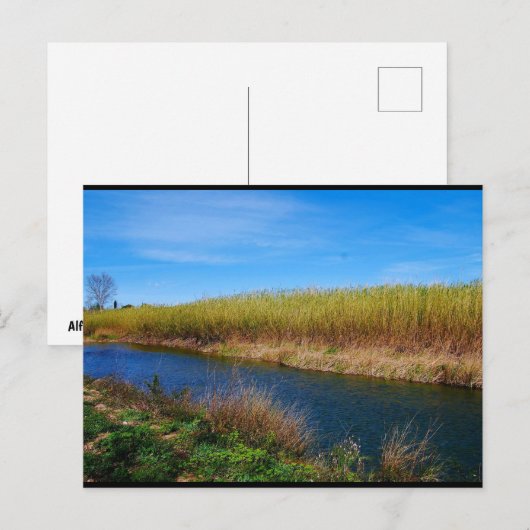 De Túria rivier Briefkaart (Voorkant / Achterkant)