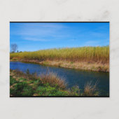 De Túria rivier Briefkaart (Voorkant)