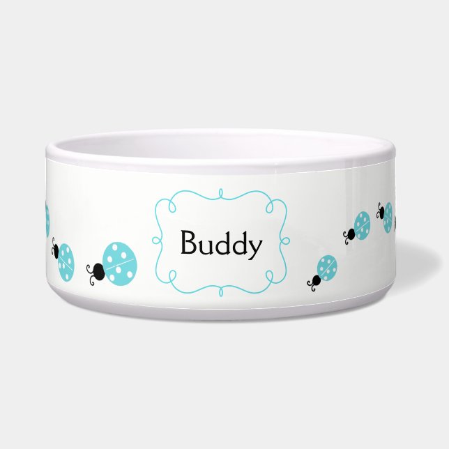 De turkooise Kom van het Huisdier van de Douane (Voorkant)