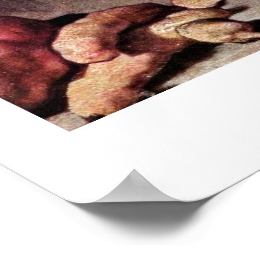 De Turnip Cleaner van Jean-Baptiste Chardin Poster (Hoek)