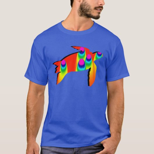 DE TURTLE RAINBOW T-SHIRT (Voorkant)