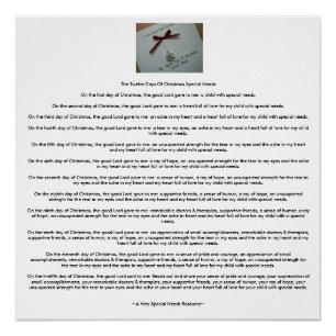 De twaalf dagen bijzondere kerstbehoeften (AVSNR) Poster