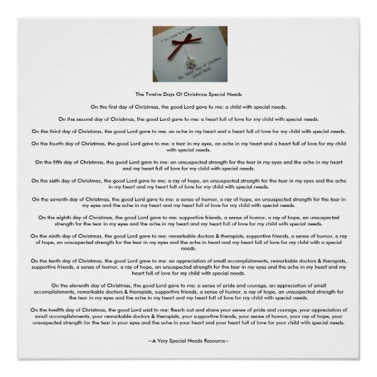 De twaalf dagen bijzondere kerstbehoeften (AVSNR) Poster (Voorkant)