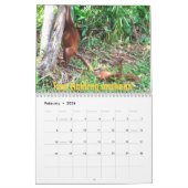 De twaalf kerstdagen van orang-oetans kalender (Feb 2026)