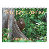De twaalf kerstdagen van orang-oetans kalender (Hoes)