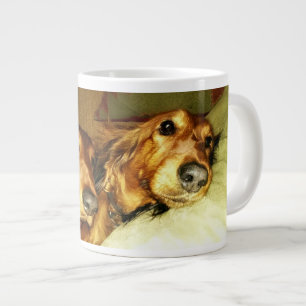 De twee langwerpige dachshunds grote koffiekop