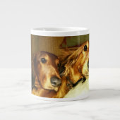 De twee langwerpige dachshunds grote koffiekop (Voorkant)