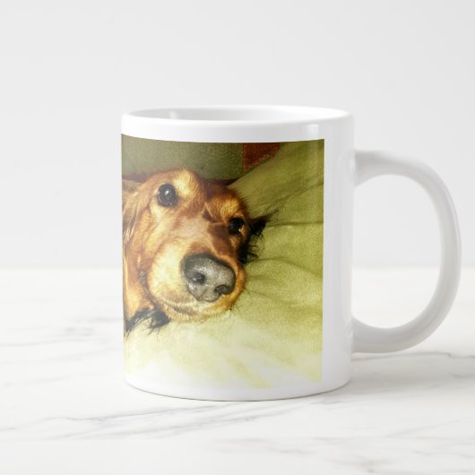 De twee langwerpige dachshunds grote koffiekop (Rechts)