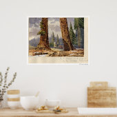 De twee Sentinels, op de Grove of Big Trees Poster (Keuken)