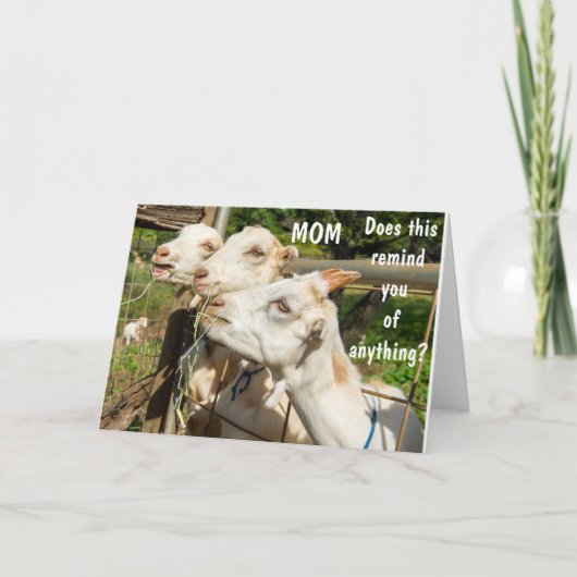 DE TWEEDE DAG WIL OP JE DAG NAAR MIJN MOM! KAART (Voorkant)