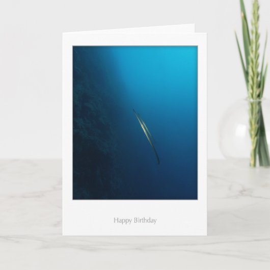 De tweeling Kaart van de Verjaardag van Vissen (Voorkant)