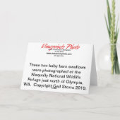 De tweeling Kaart van het Moederdag van de Vogels (Achterkant)