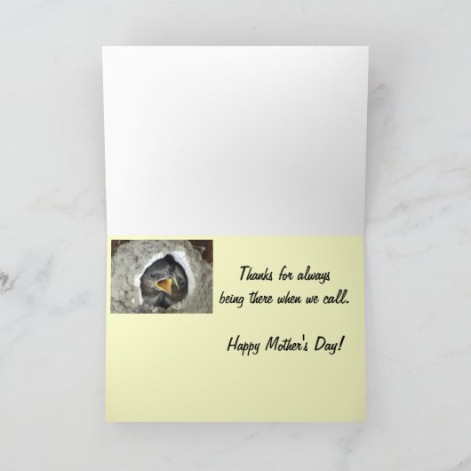 De tweeling Kaart van het Moederdag van de Vogels (Binnen)