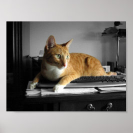 De typist poster