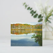 De U. P.: Herfstherfst Birch Tree Reflections Briefkaart (Staand voorkant)