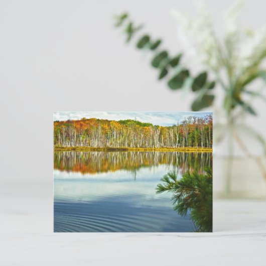 De U. P.: Herfstherfst Birch Tree Reflections Briefkaart (Staand voorkant)