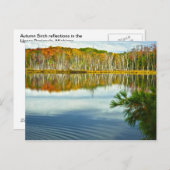 De U. P.: Herfstherfst Birch Tree Reflections Briefkaart (Voorkant / Achterkant)