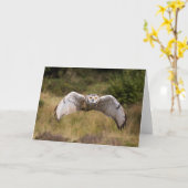 De Uil die van Eagle "bij u " komt Kaart (Gele Bloem)