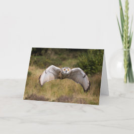 De Uil die van Eagle "bij u " komt Kaart