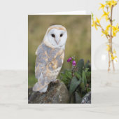 De Uil en de Digitalis van de schuur Kaart (Gele Bloem)