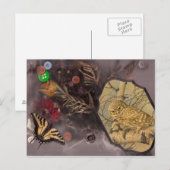 De uil en de vlinder briefkaart (Voorkant / Achterkant)