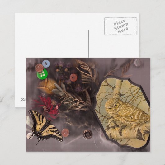 De uil en de vlinder briefkaart (Voorkant / Achterkant)