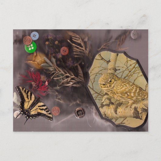 De uil en de vlinder briefkaart (Voorkant)