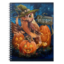 De uil in het magische pet en haar pompoenvrienden