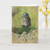De Uil van Burrowing, Lege Kaart Greetin door (Gele Bloem)