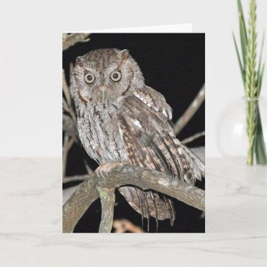 De Uil van de doordringende kreet Kaart (Voorkant)