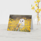 De Uil van de schuur op het Gele Gebied van de Kaart (Gele Bloem)