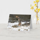 De Uil van Eagle tijdens de vlucht Kaart (Gele Bloem)