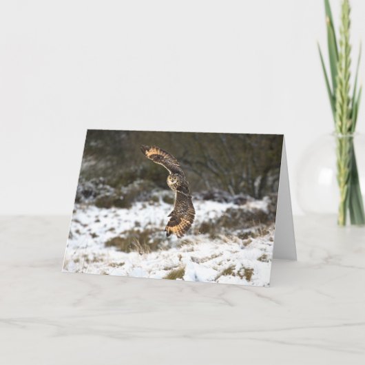 De Uil van Eagle tijdens de vlucht Kaart (Voorkant)