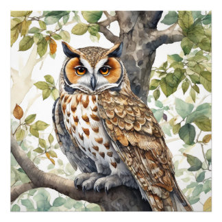De Uil, Wildlife Illustratief Poster
