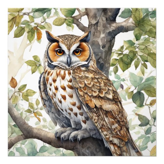 De Uil, Wildlife Illustratief Poster (Voorkant)