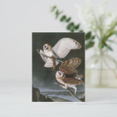 De Uilen van de schuur, de Vogels van Amerika John Briefkaart (Staand voorkant)