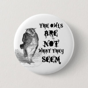 De uilen zijn NIET wat ze lijken. Ronde Button 5,7 Cm