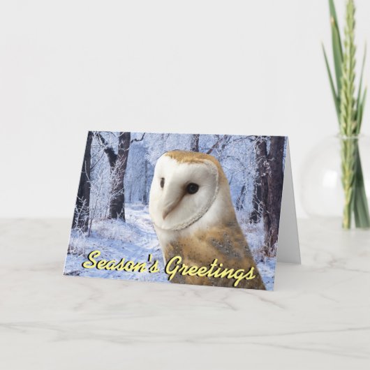 De uilKerstkaart van de schuur Feestdagen Kaart (Voorkant)