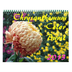 de Uitbarsting van de Kleur van de Chrysant van 0 Kalender