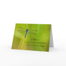 De Uitdrukkingen van de libel