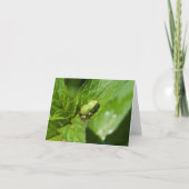 De uiterst kleine (glanzende) Kaart van de Nota (Voorkant)