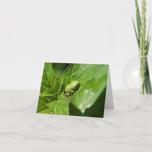 De uiterst kleine (glanzende) Kaart van de Nota (Voorkant)