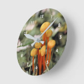 De uiterst kleine Wilde Oranje Natuur van Ronde Klok (Hoek)