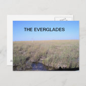 DE UITGESTREKTHEID VAN DE EVERGLADES BRIEFKAART (Voorkant / Achterkant)